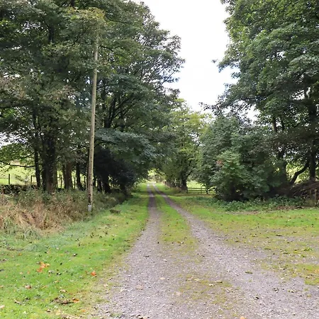 The Duck House * 칼라일